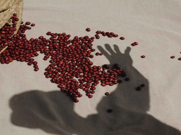 transportation measures