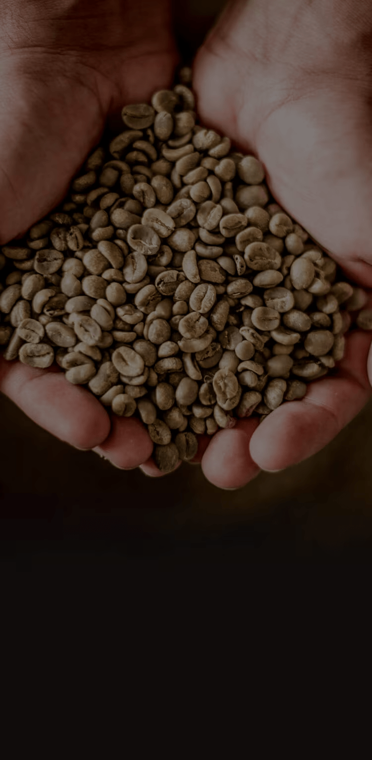 Beans dark
